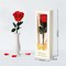 Mothers Day Rose Gifts for Mom,Birthday Gifts for Women,Mothers Day Flowers Gifts for Mom from Daughter Son,Preserved Red Rose Flower Gift for Her,Wife,Grandma,Women,Christmas,Anniversary